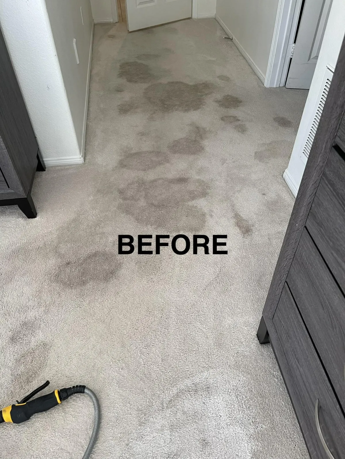 Pro Tech Cleaning Commercial carpet