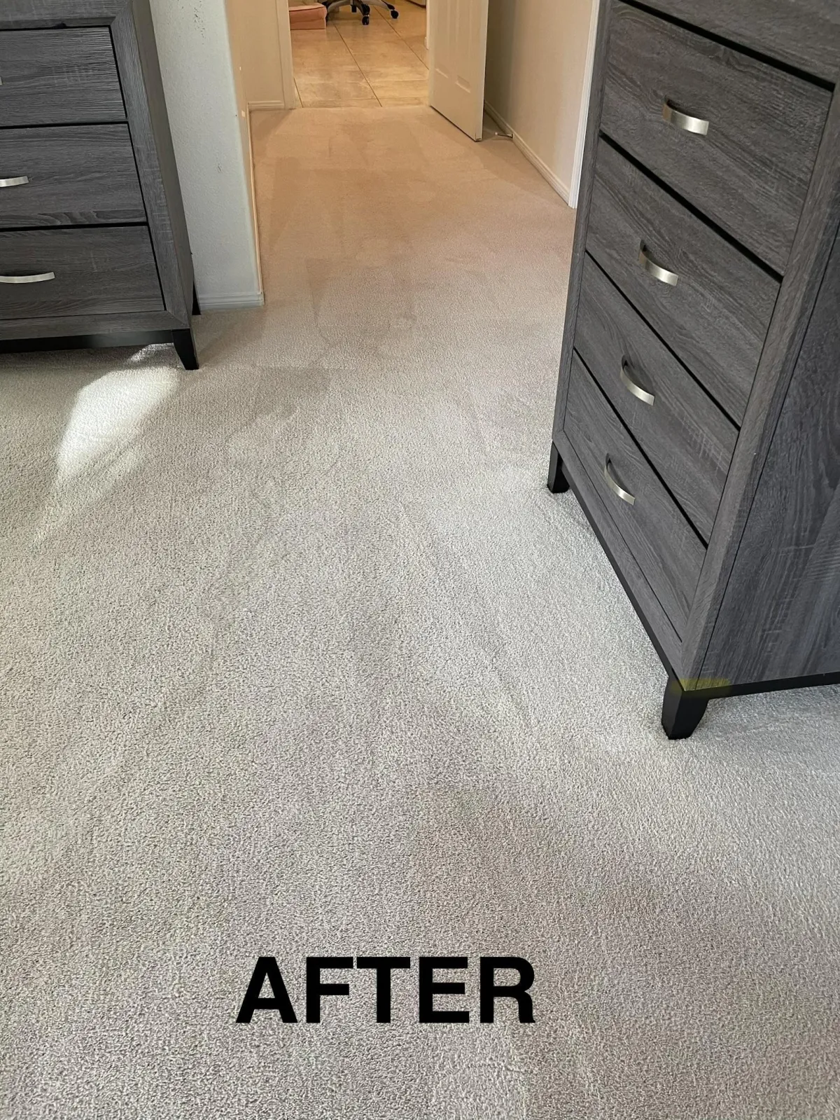 carpet cleaning professional performing deep cleaning service