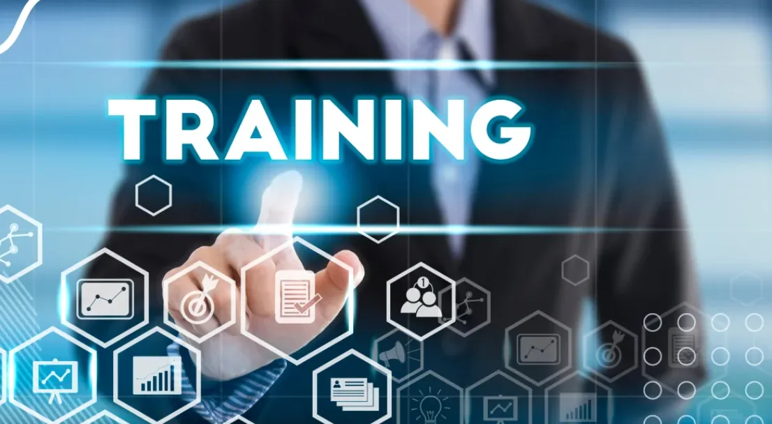 blue and green peacock feather