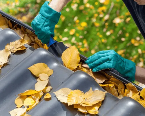 Los Angeles Gutter Cleaning