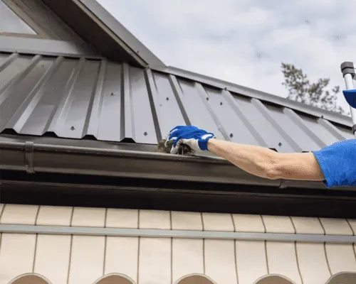 Gutter Cleaning in San Fernando Valley