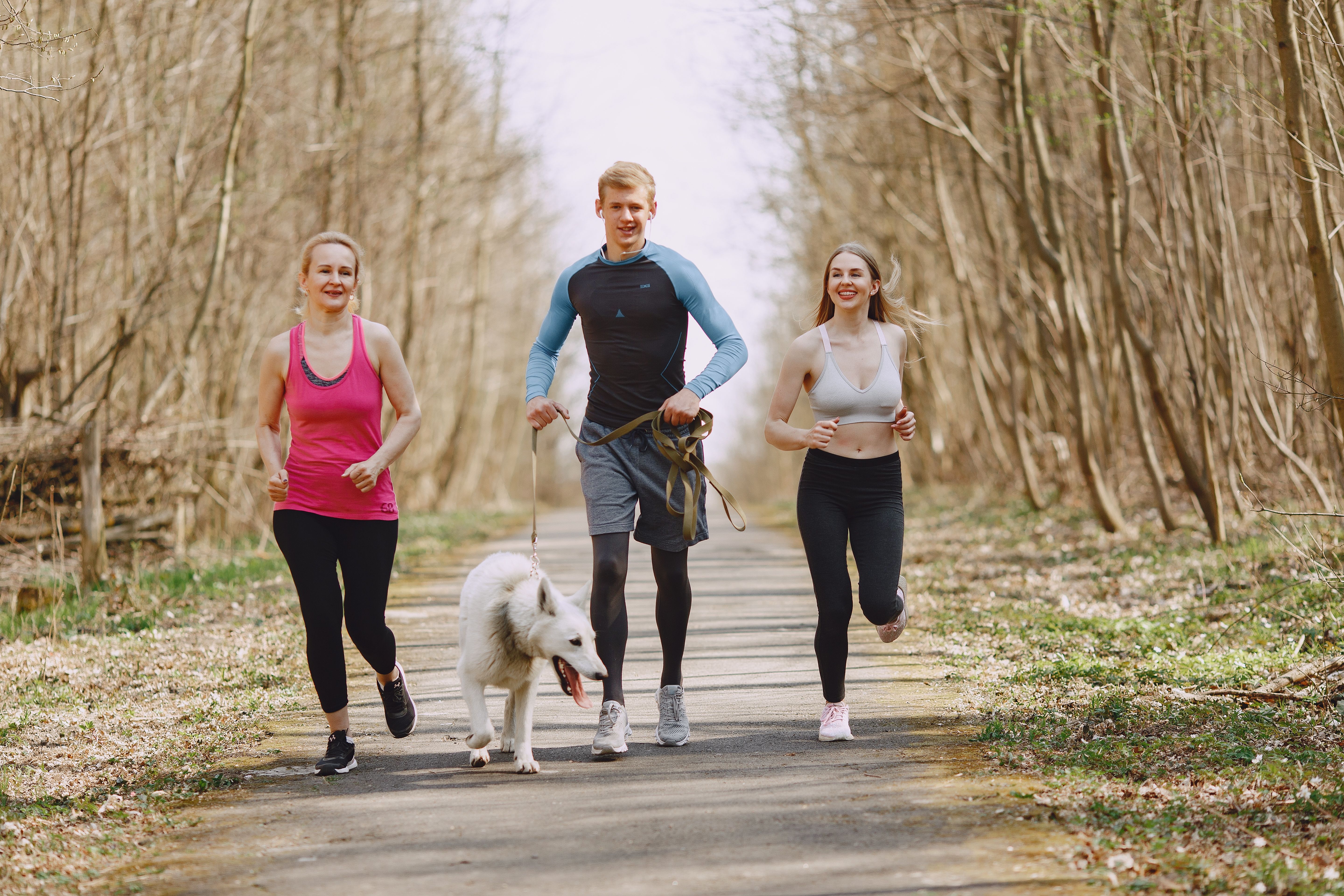 Add More Movement to Your Day