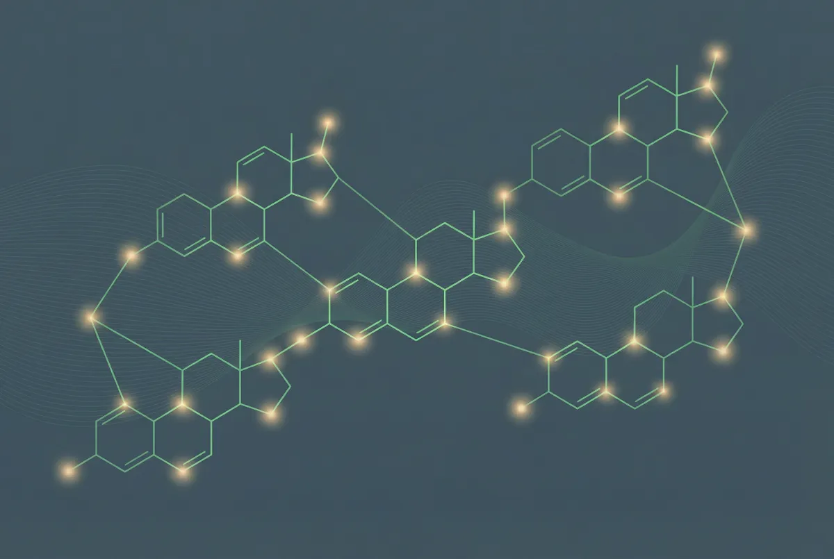 Hormonelle Gesundheit: Longevity in der Menopause