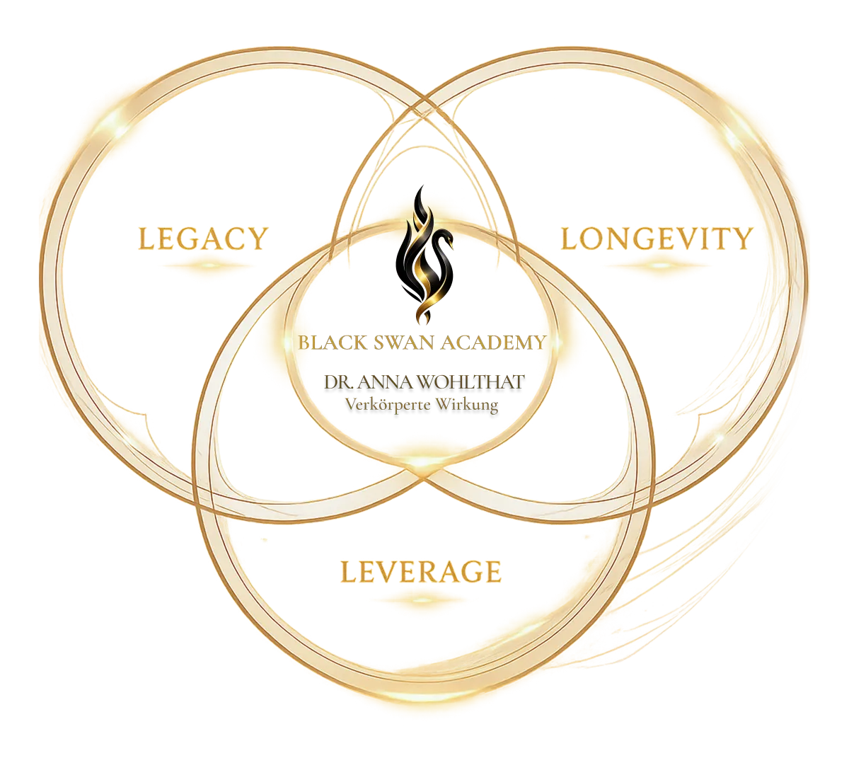 Black Swan Academy Ausbildungsstruktur drei Stufen zum Longevity Coach