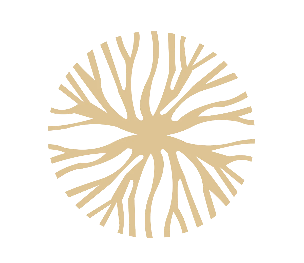 Life Unlimited MicroShift Plan. Shows a structured approach to small, daily habits and practices designed to create incremental growth, lasting personal change, and alignment over time.