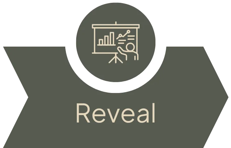 ‘Reveal’ in the Life Unlimited framework. Highlights uncovering insights, self-awareness, and clarity about personal alignment, purpose, and growth opportunities.