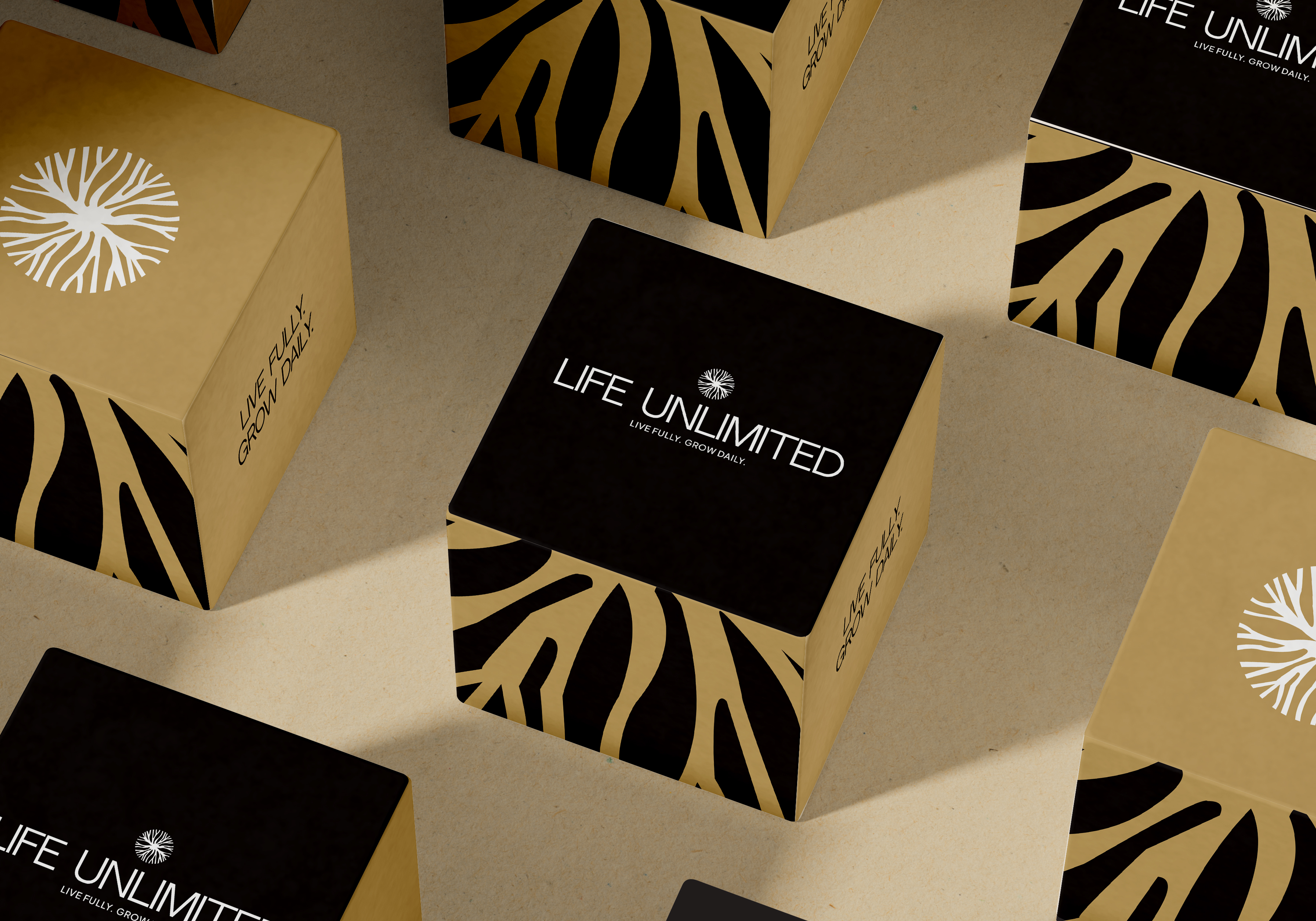 Life Unlimited Kit. A comprehensive personal growth toolkit including guides, exercises, and resources designed to help individuals align, discover purpose, and create meaningful impact. Features organized, accessible, and growth-focused design elements.