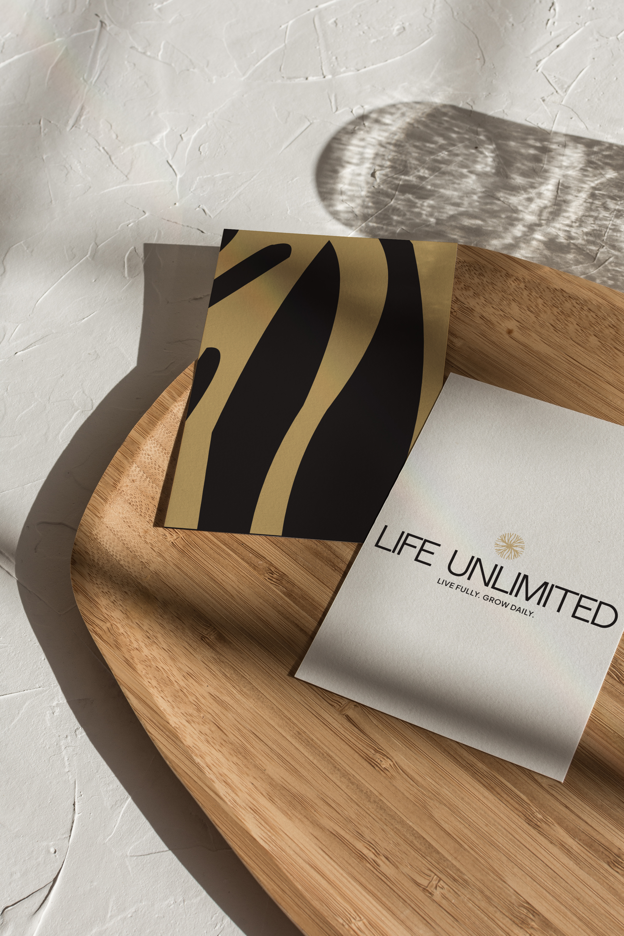 Life Unlimited Kit. A comprehensive personal growth toolkit including guides, exercises, and resources designed to help individuals align, discover purpose, and create meaningful impact. Features organized, accessible, and growth-focused design elements.