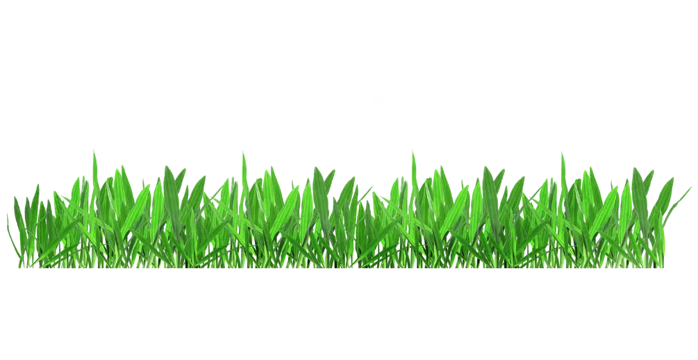 Winter Haven Artificial Turf Logo