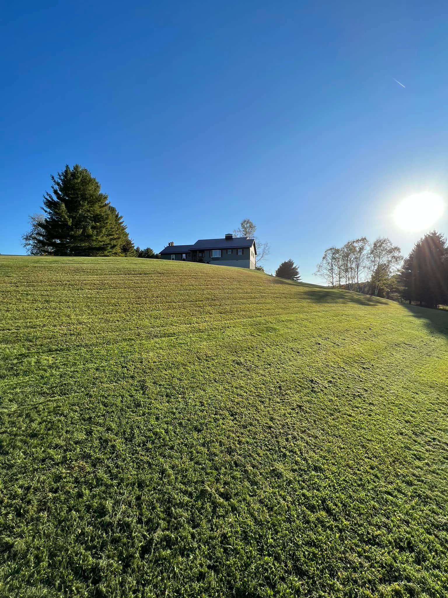 Beautiful Landscaped Lawn
