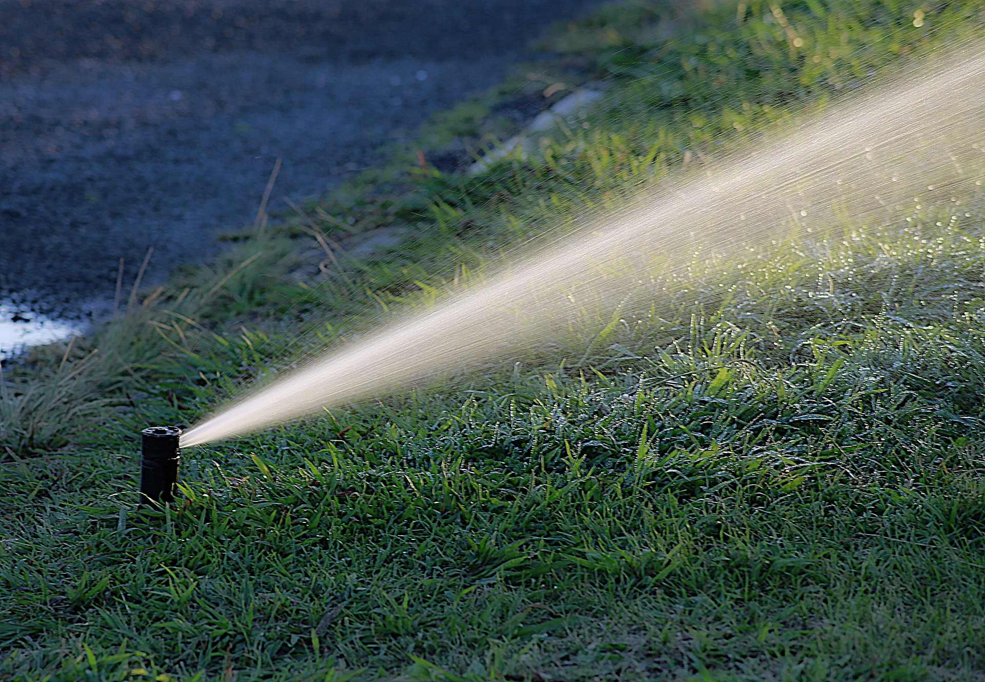 Sprinkler Spraying Green Lawn