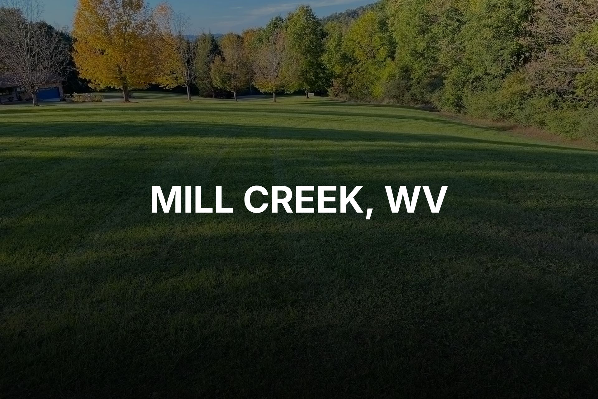 Tree Trimming & Pruning