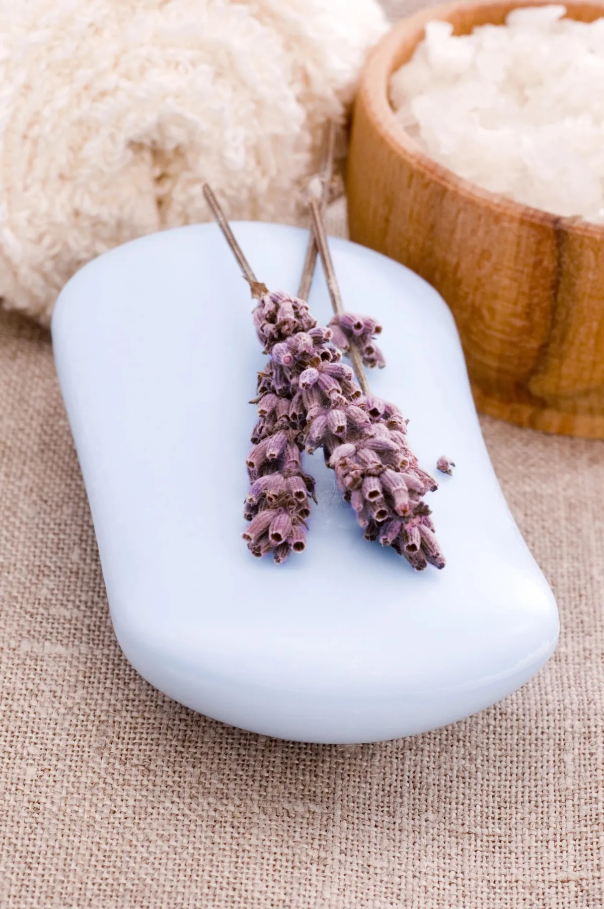 Image Lavender Sprigs