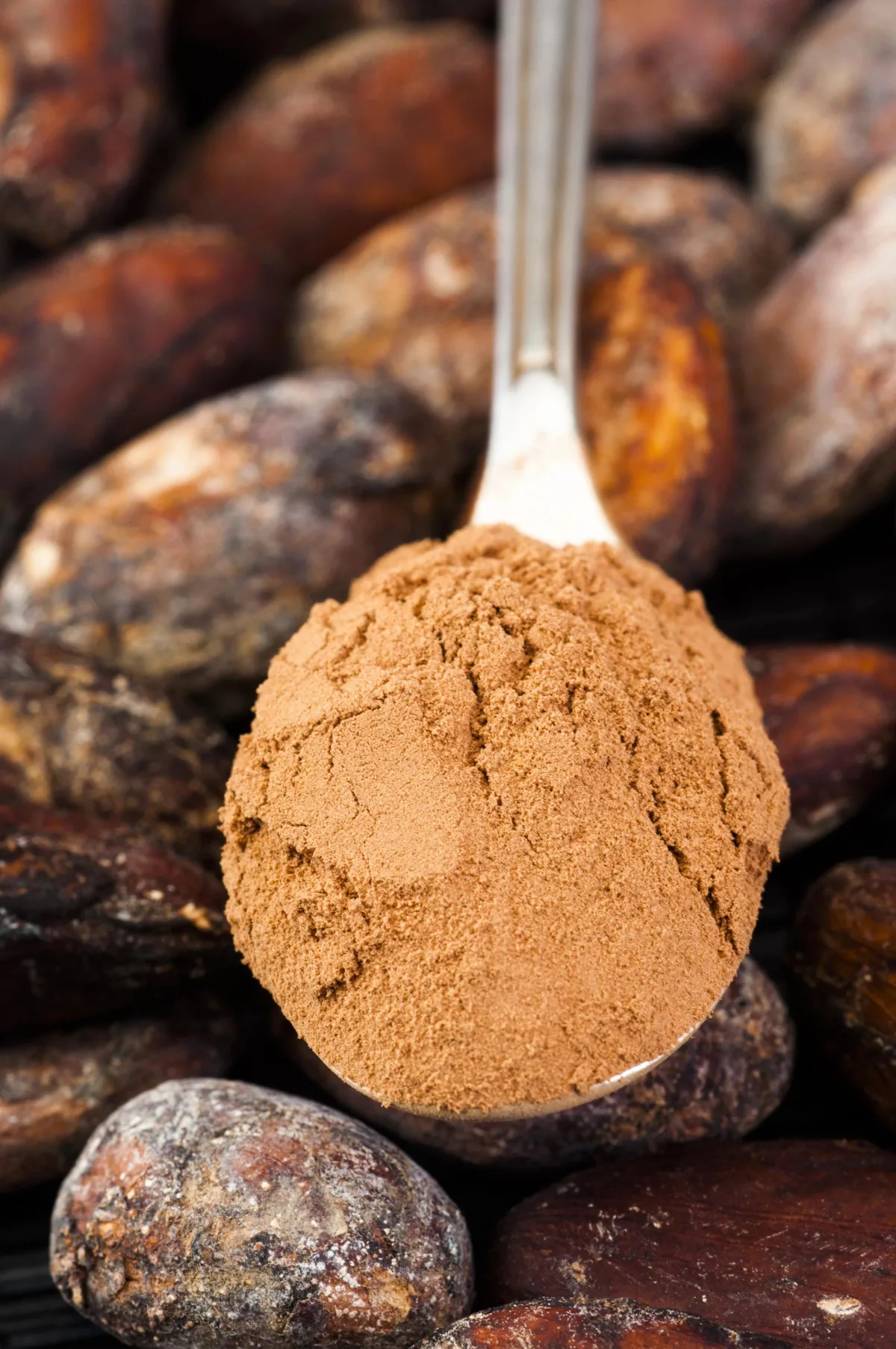 Image of Cocoa Powder for color