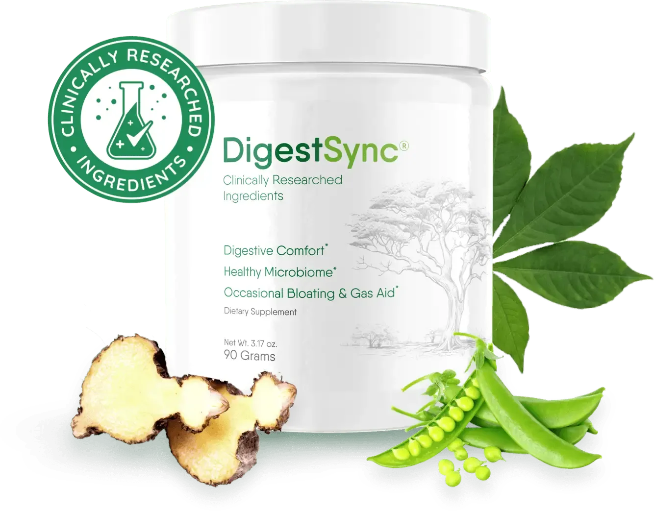 DigestSync  product