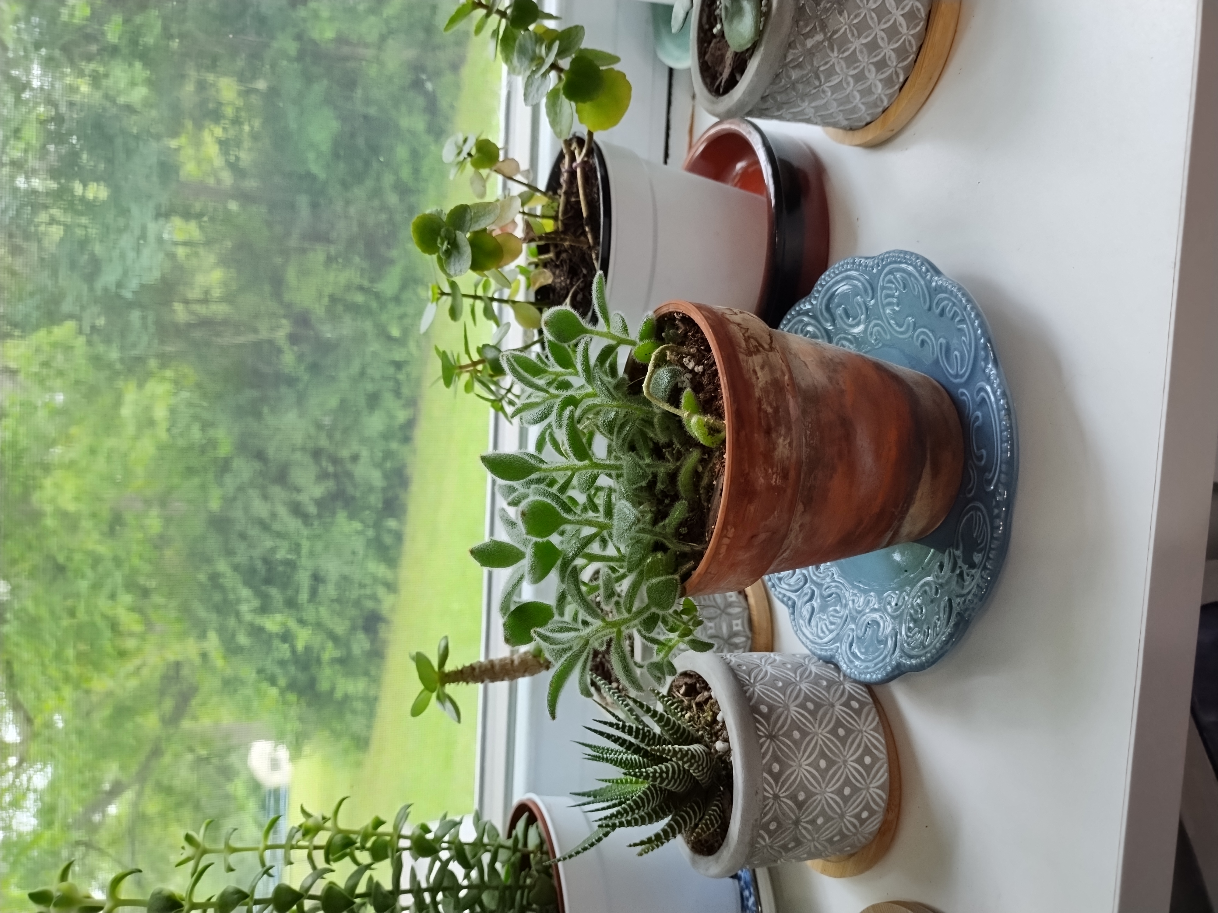 A gentle, soft-focus moment of hands holding a warm cup of tea