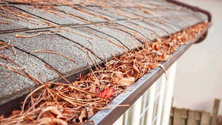Loganville GA Gutter Cleaning