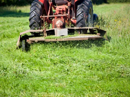 Bush Hogging in Sellersburg, IN