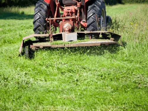 Salem, IN Land Clearing