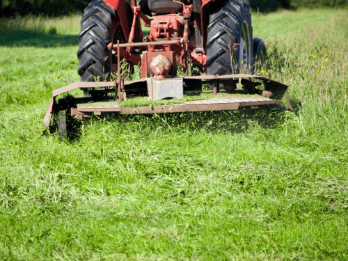 Greenville, IN Bush Hogging