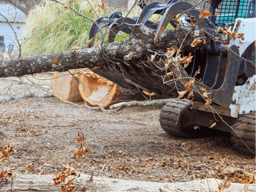 New Albany, IN Land Clearing