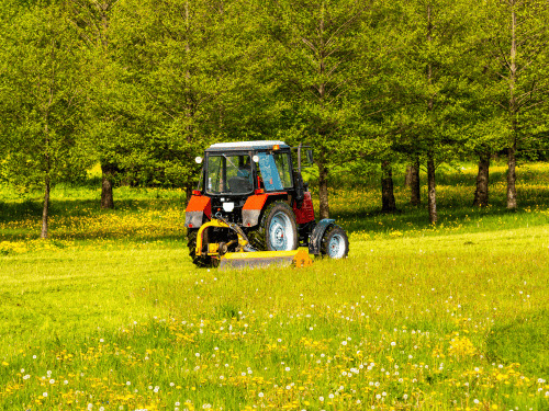 Sellersburg, IN Bush Hogging