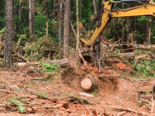 Greenville, IN Land Clearing