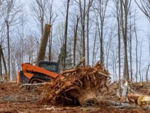 Land Clearing