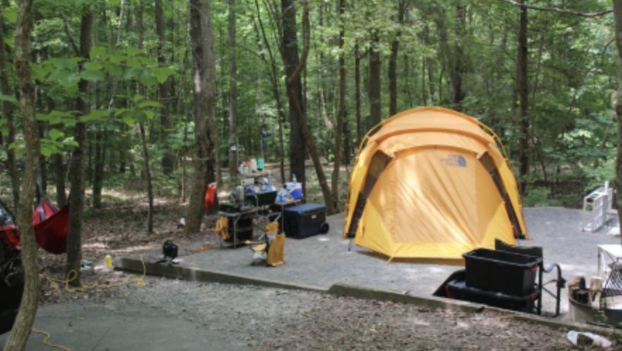 McDowell Nature Preserve Campground near The Palisades in Charlotte, NC, featuring a picnic table, fire ring, and wooded camping area.
