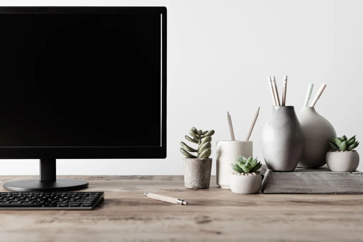Marketing Monitor plants wood desk