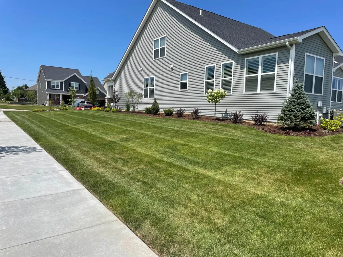 Sod Installation and Care: Transforming Your Lawn into a Lush Paradise