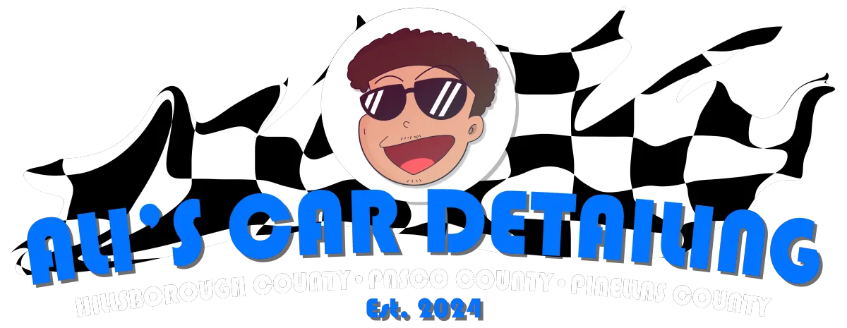 Mobile Car Detailing Tampa, FL