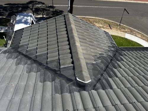 St Ives Bird-Proofing