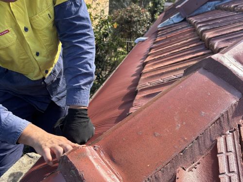 Solar Panel Skirting Turramurra