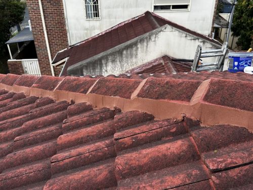 Beecroft Bird-Proofing