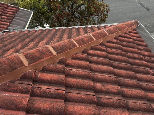 Ember Guards Turramurra