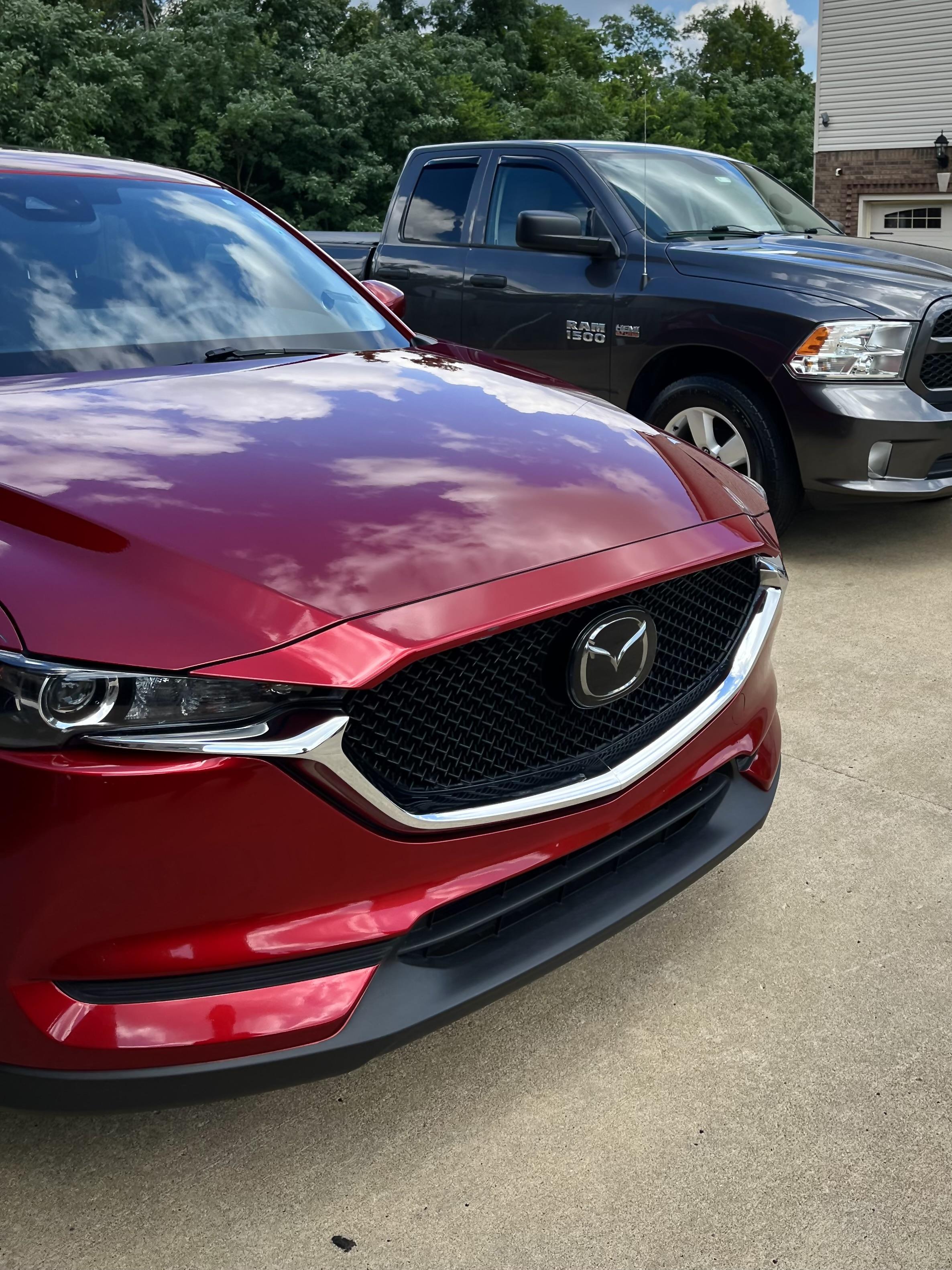 Show Car Paint Correction in Madison | Wash Dawgs Detail