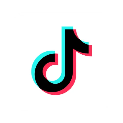 TikTok Profile Icon