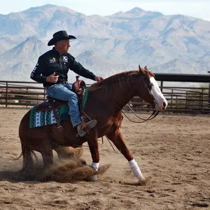 Professional horse trainer in arena