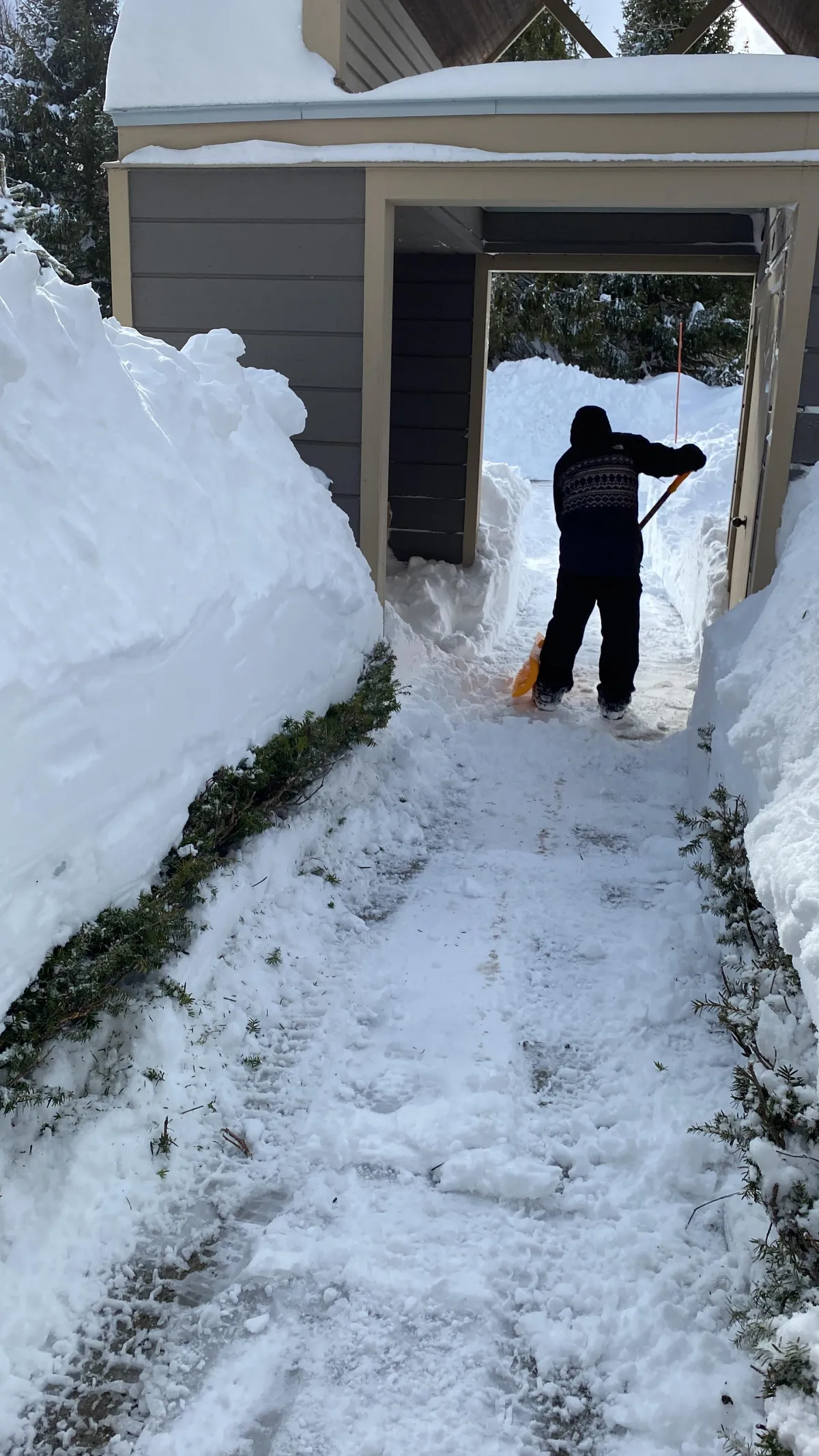 Junk Removal Contractor in Vermont