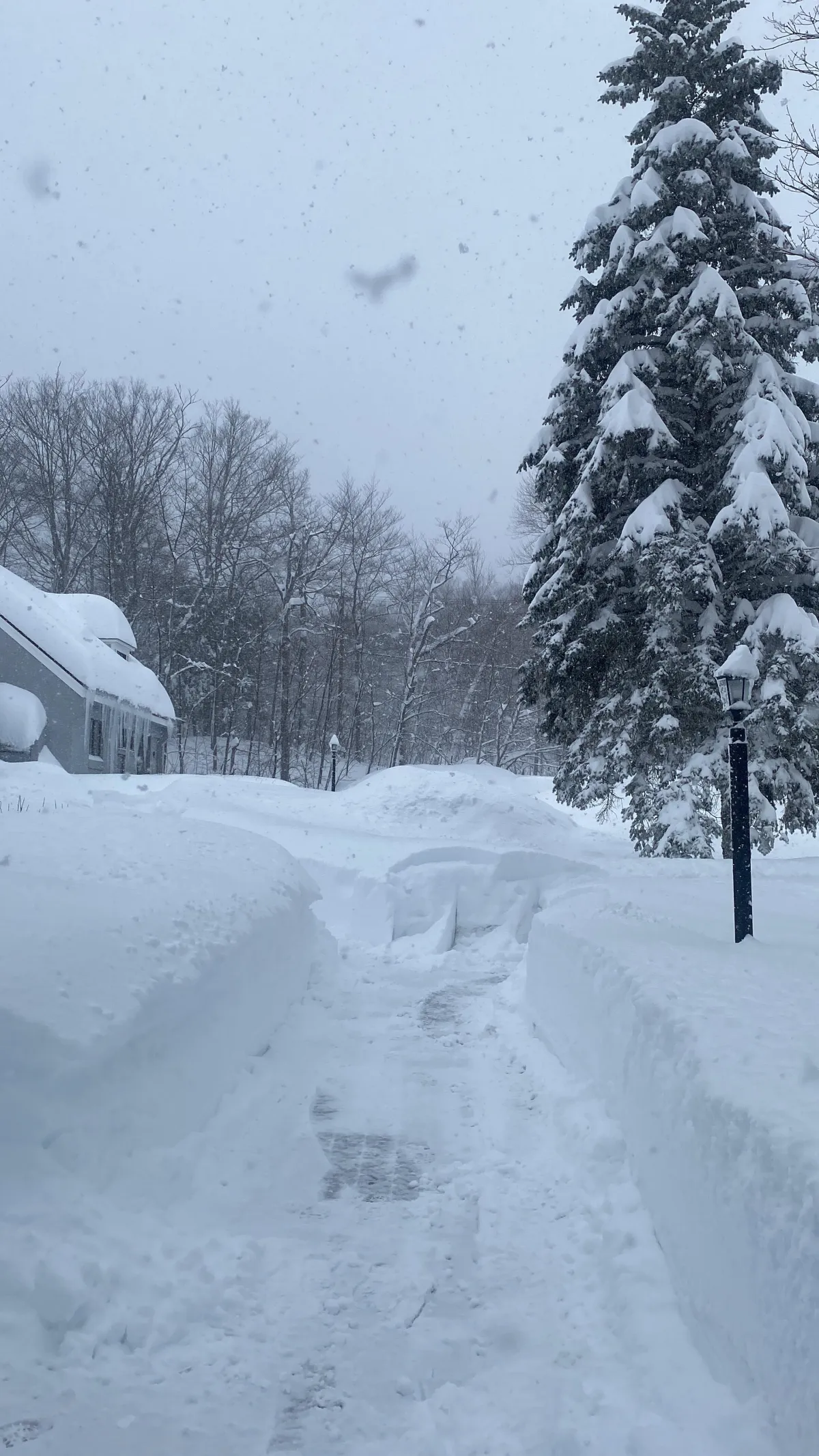 Junk Removal Contractor in Vermont