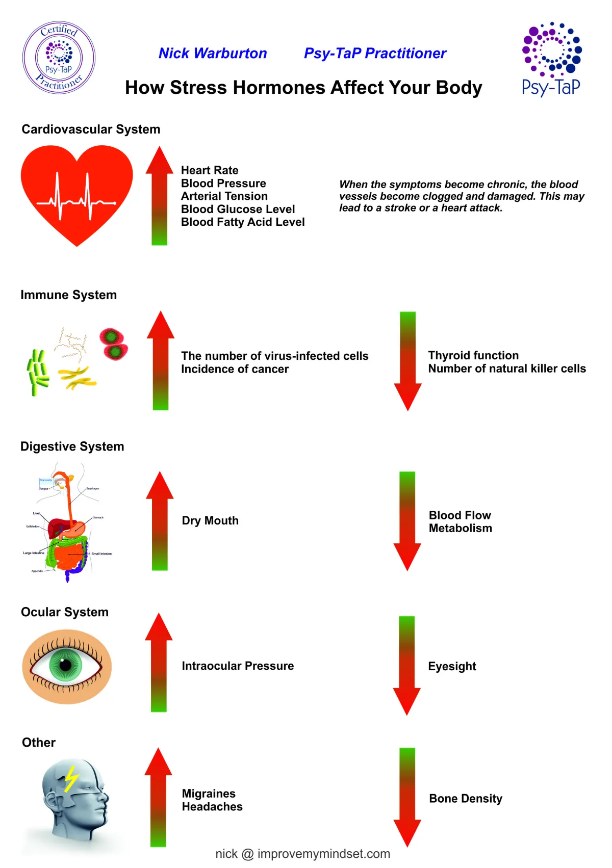 how does stress affect the body