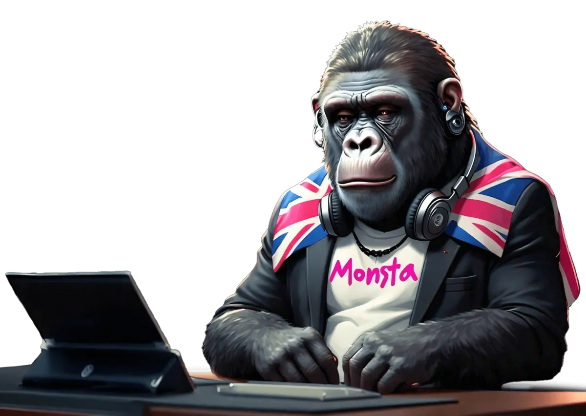 monsta media bolton process