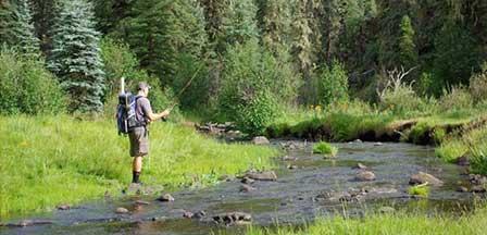 Fishing in Arizona