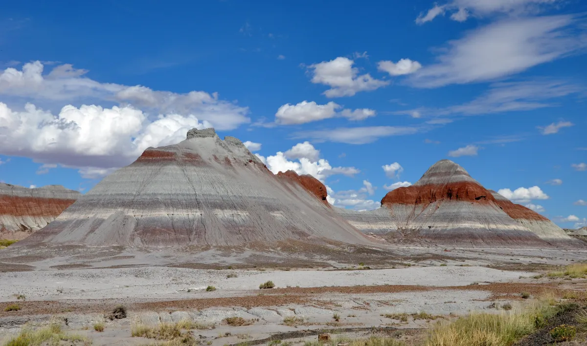 Petrified Forest National Park in Arizona