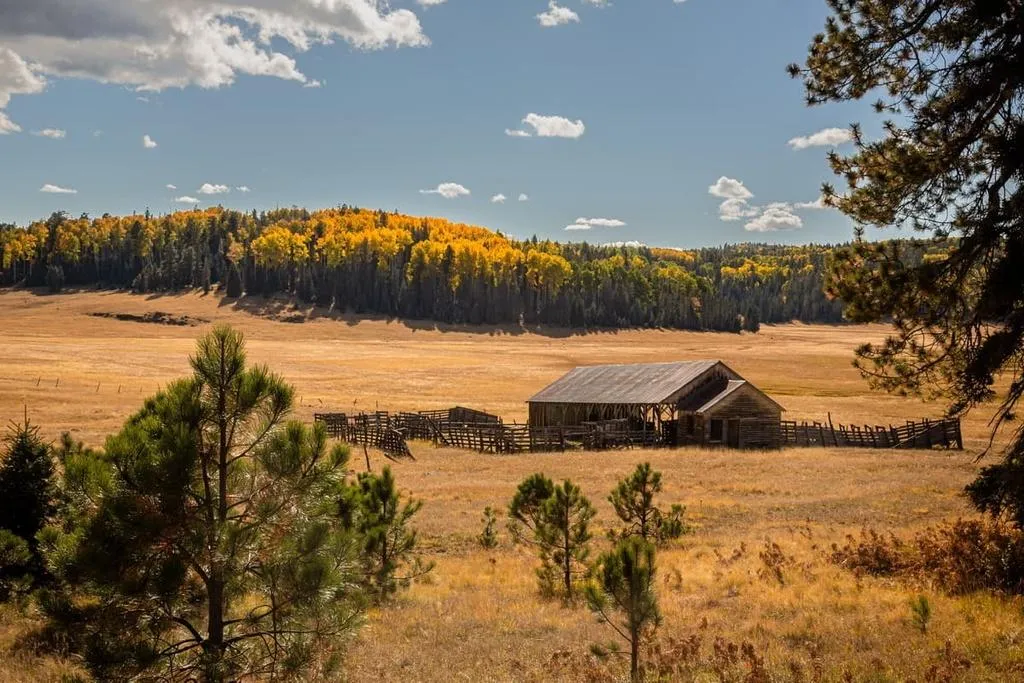 Cabin in the White Mountains