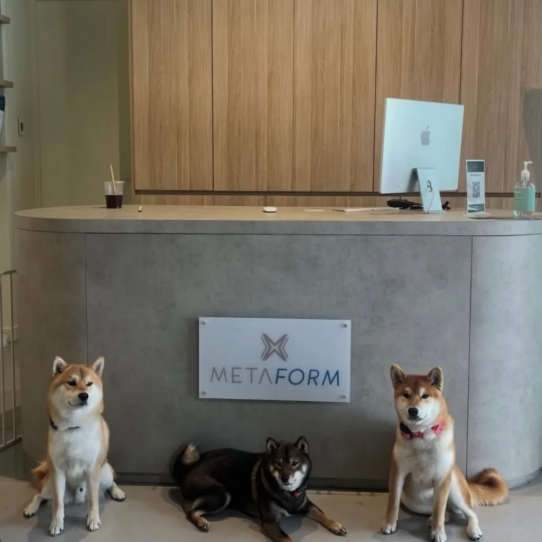 Two dogs play fighting with open mouths.