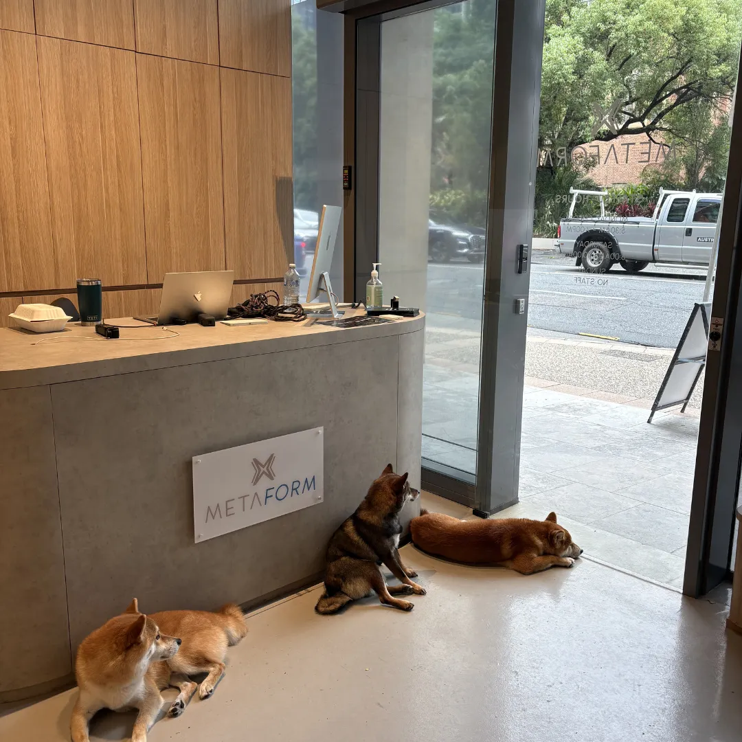 golden retriever puppy on green grass field during daytime