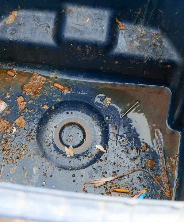 Close-up of a dirty, wet, dark blue plastic bin with cigarette butts, a nail, and grime inside.
