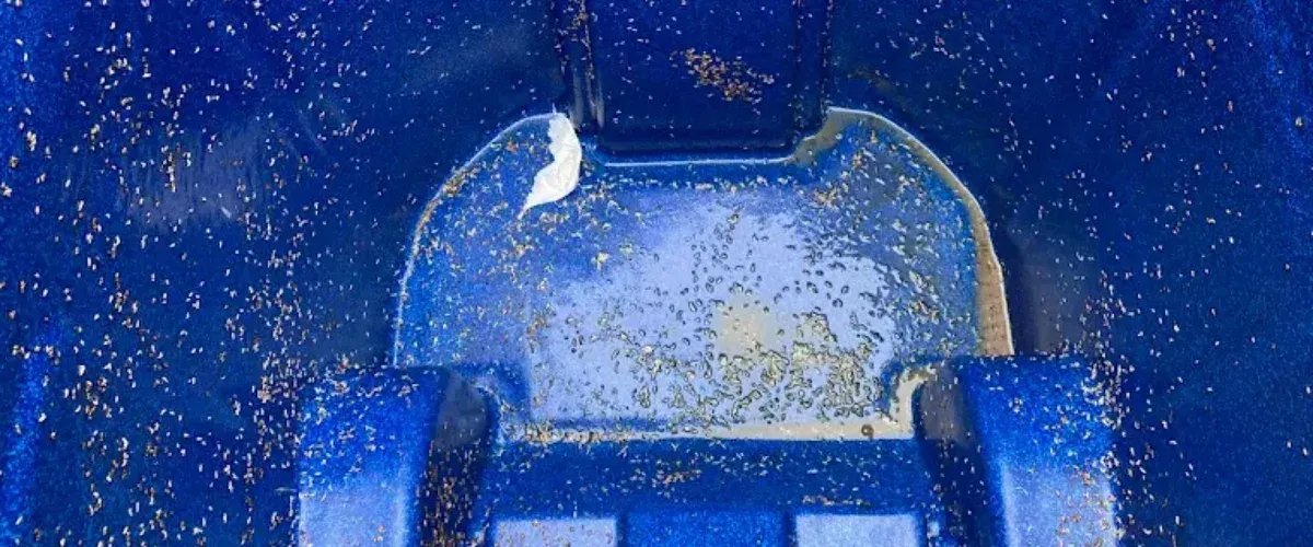 Close-up of a dirty, wet, dark blue plastic bin with cigarette butts, a nail, and grime inside.